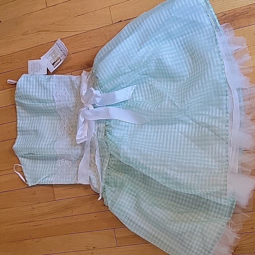 Adorable Jessica McClintock gingham dress new with tags size 9/10